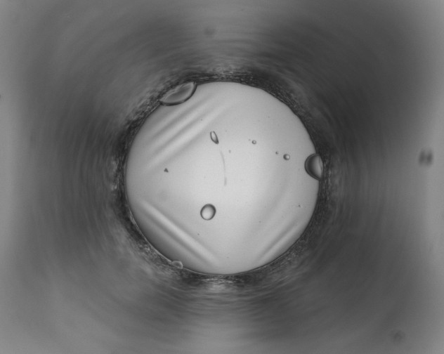 X0000111220750200907161251