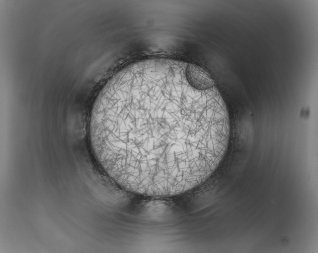 X0000111220751200907161251