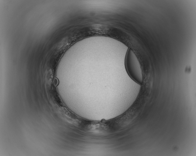X0000111220752200907161251