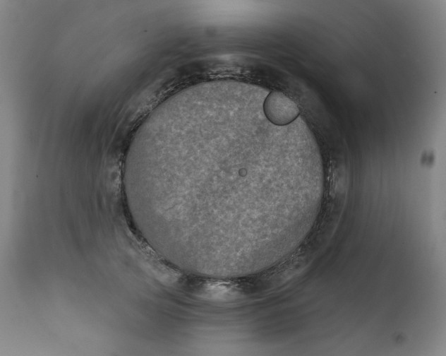 X0000111220753200907161251