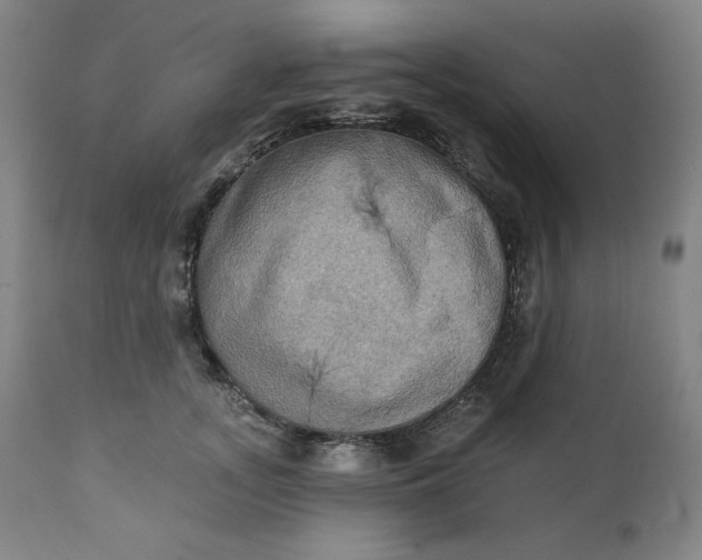 X0000111220755200907161251