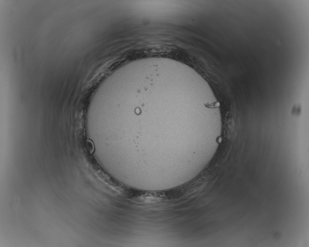 X0000111220756200907161251
