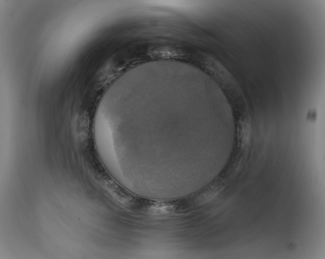 X0000111220760200907161251