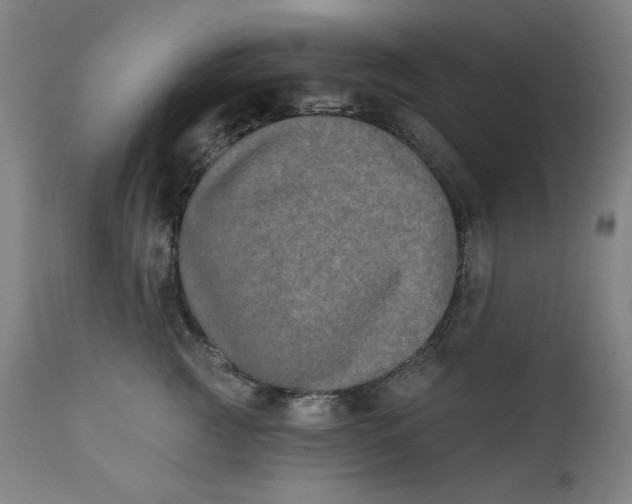 X0000111220761200907161251