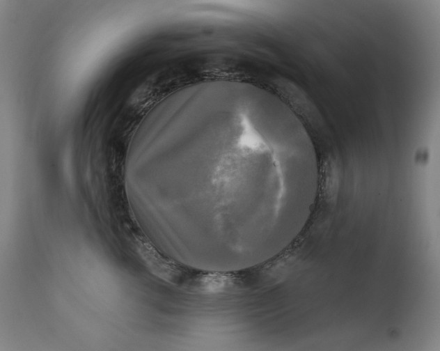 X0000111220762200907161251