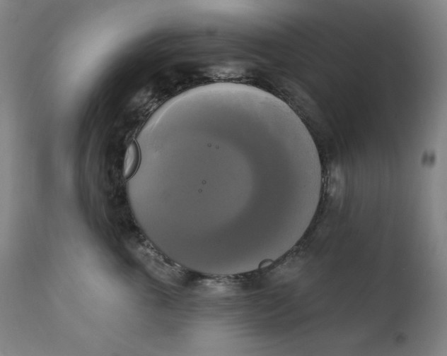 X0000111220763200907161251