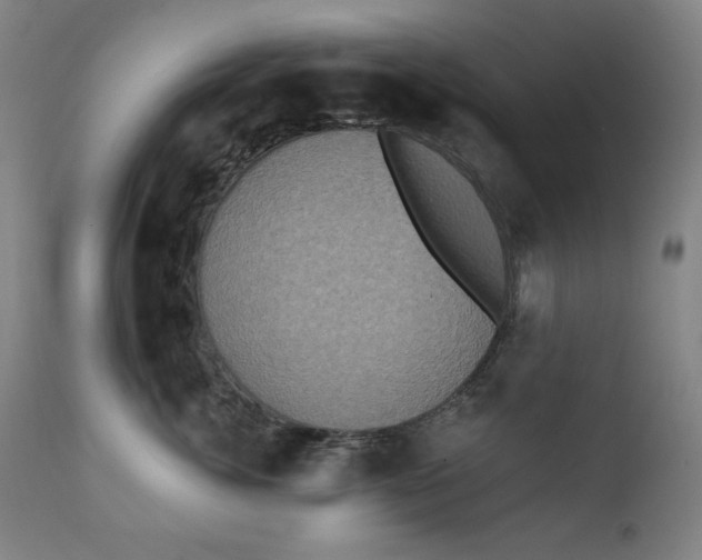 X0000111220764200907161251