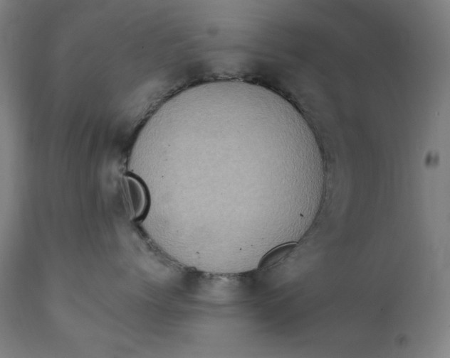 X0000111220768200907161251