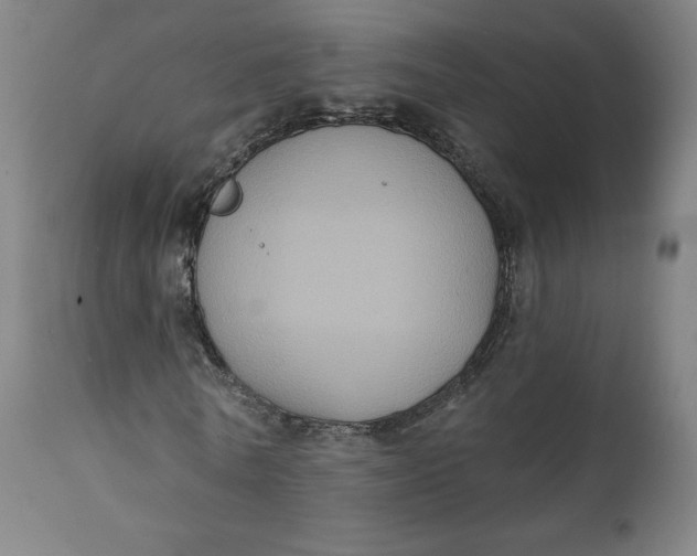 X0000111220770200907161251