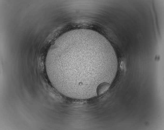 X0000111220771200907161250