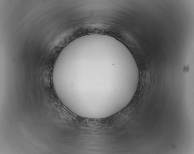 X0000111220774200907161250