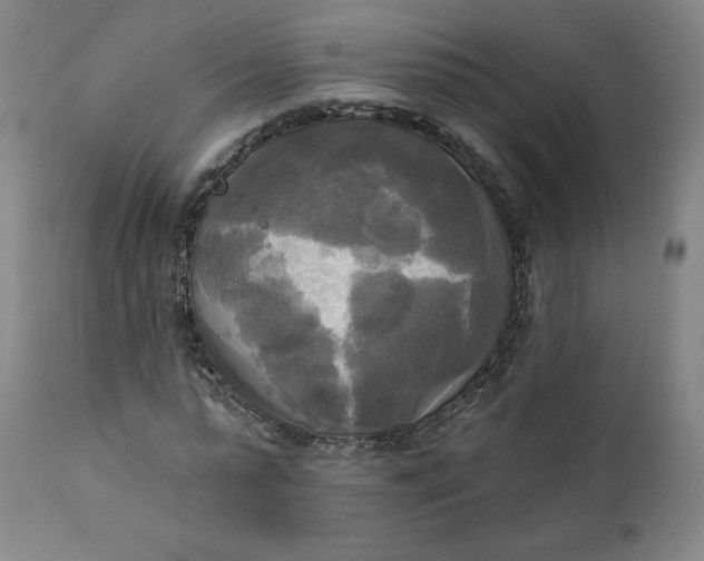 X0000111220775200907161250