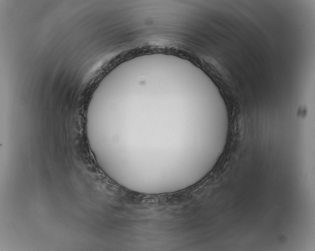X0000111220776200907161250