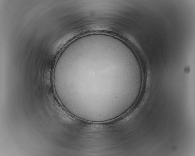 X0000111220777200907161250
