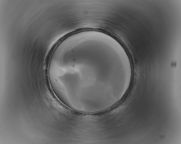 X0000111220779200907161250