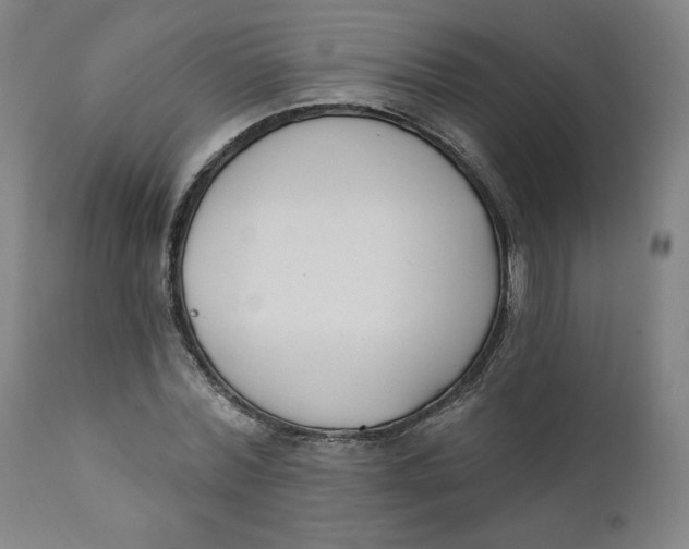 X0000111220780200907161250