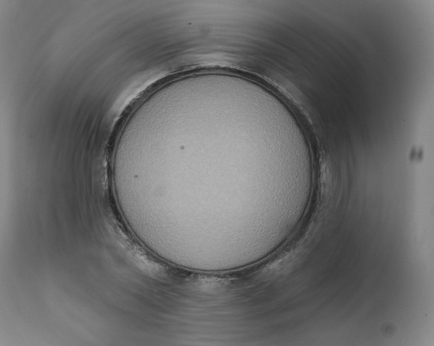 X0000111220782200907161250
