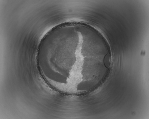 X0000111220783200907161250