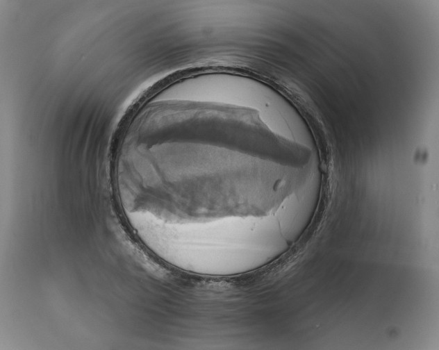 X0000111220784200907161250