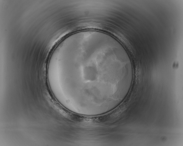 X0000111220790200907161250