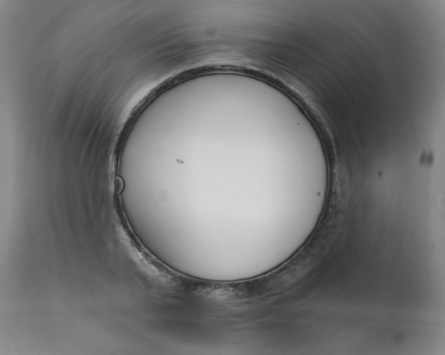 X0000111220791200907161250