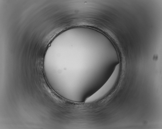 X0000111220793200907161250