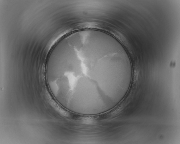 X0000111220798200907161250