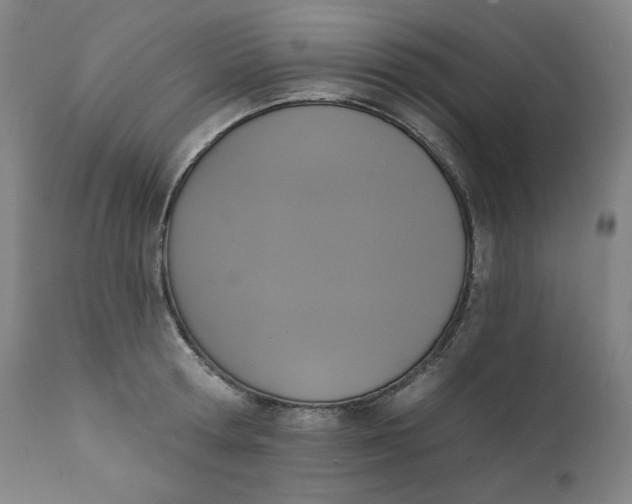 X0000111220802200907161250