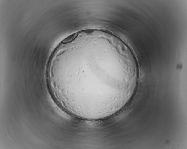 X0000111220803200907161250