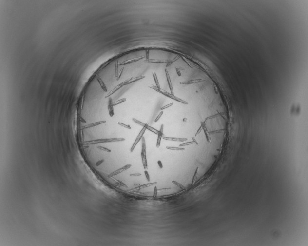 X0000111220804200907161250