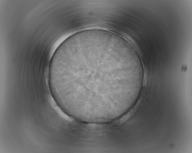 X0000111220812200907161250