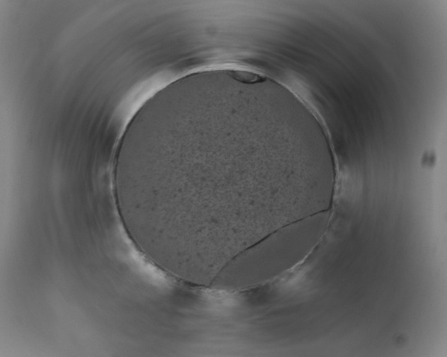 X0000111220813200907161249