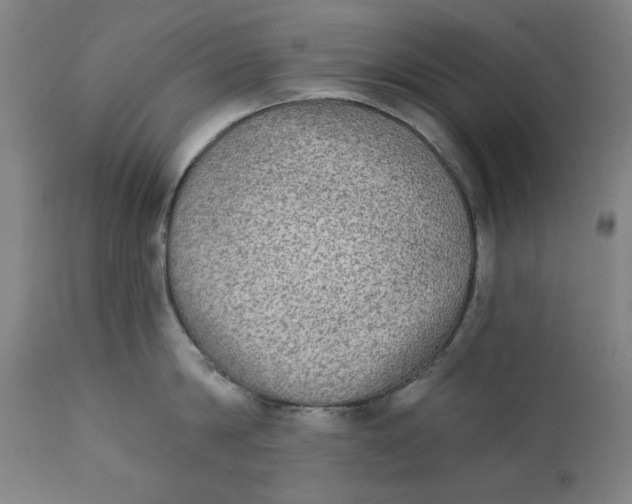 X0000111220814200907161249