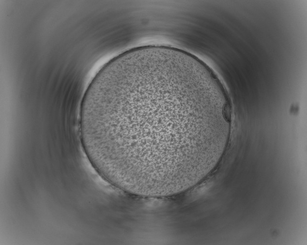 X0000111220815200907161249