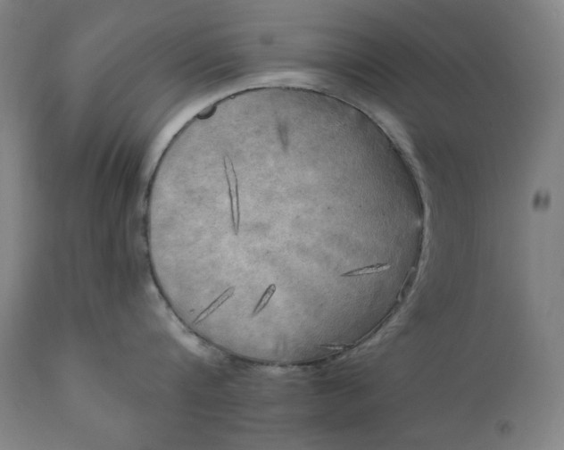 X0000111220816200907161249