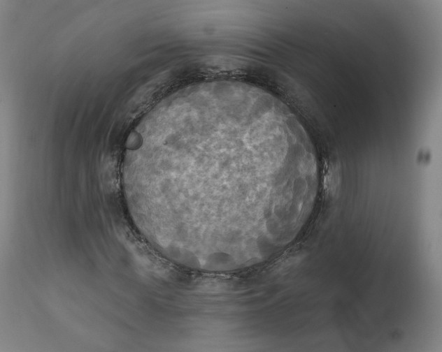 X0000111220819200907161249