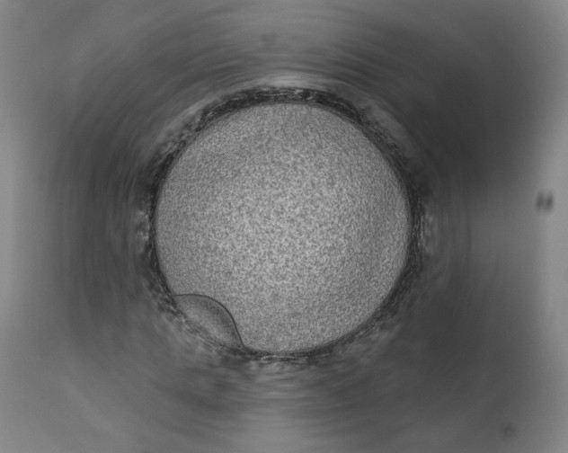 X0000111220821200907161249