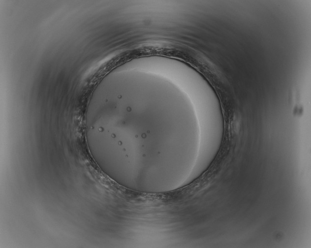 X0000111220822200907161249
