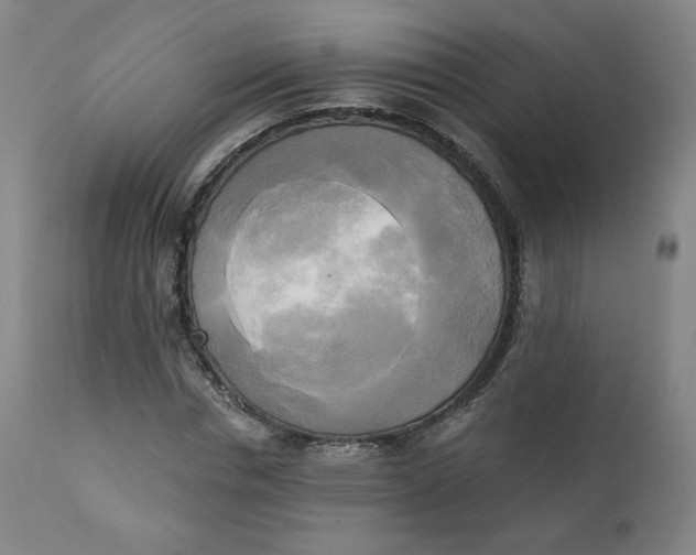 X0000111220826200907161249