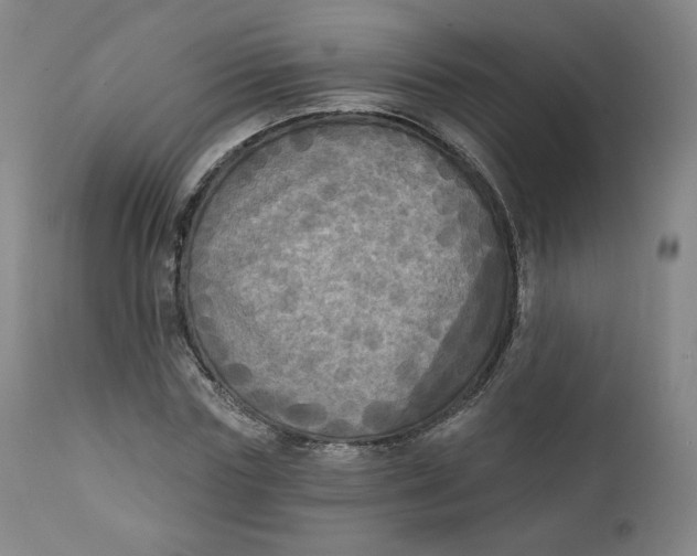 X0000111220827200907161249