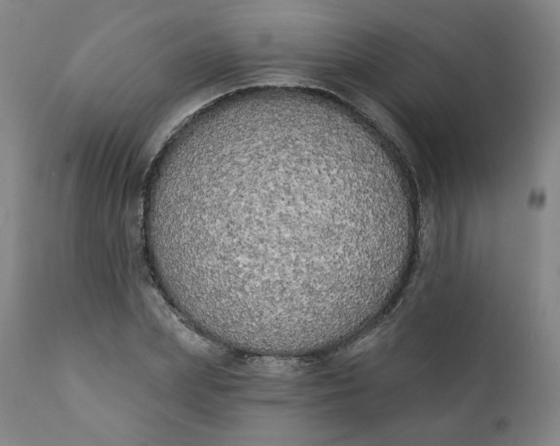 X0000111220831200907161249