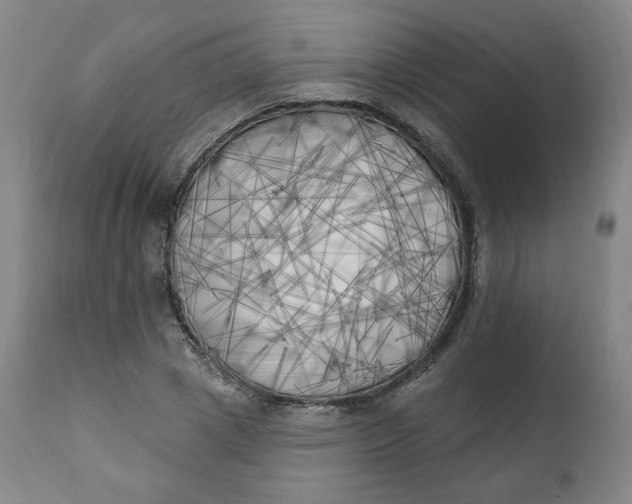 X0000111220833200907161249