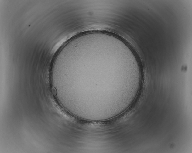 X0000111220834200907161249
