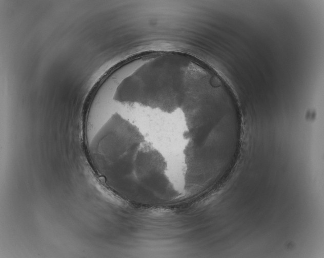 X0000111220837200907161249