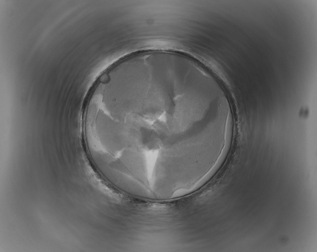 X0000111220839200907161249
