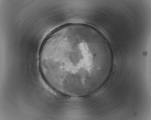 X0000111220840200907161249