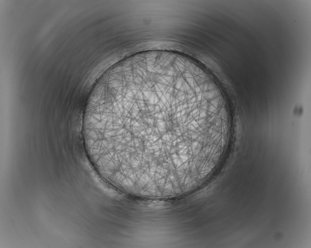 X0000111220841200907161249