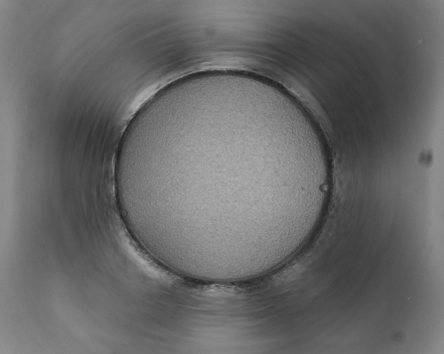 X0000111220842200907161249