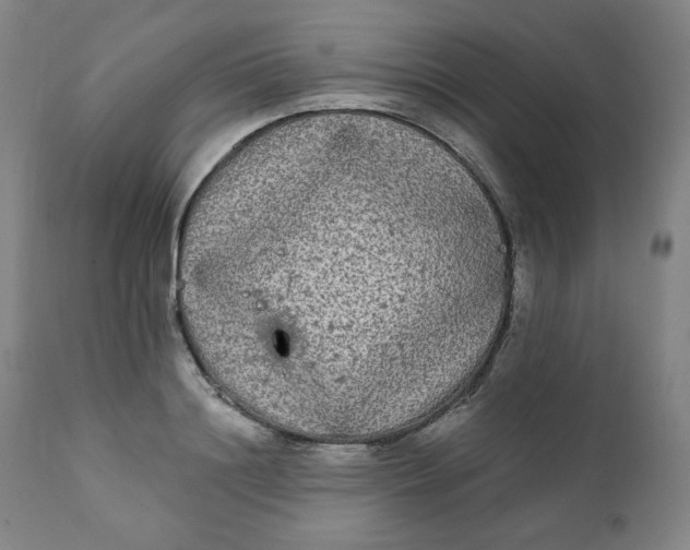 X0000111220844200907161249