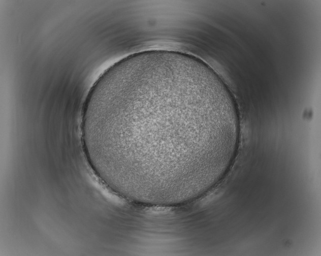 X0000111220846200907161249